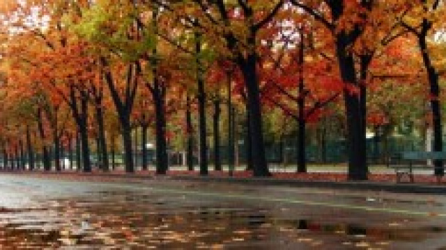 Previsioni meteo novembre 2014: pioggia e freddo?