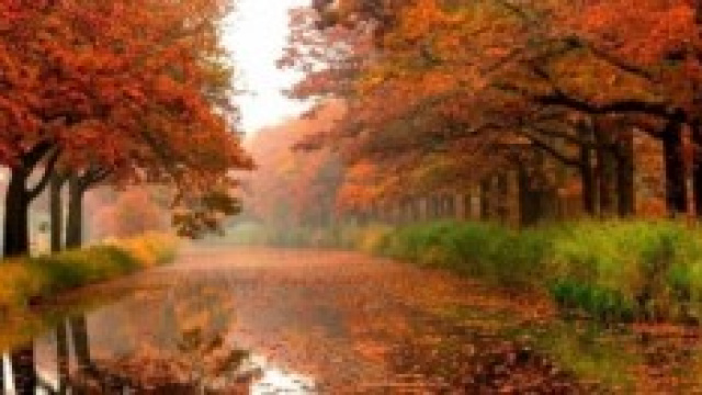 Previsioni meteo novembre: pioggia e freddo 