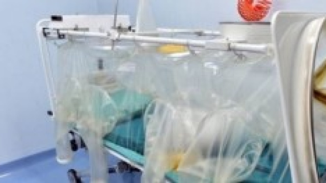 Ebola, protocolli di sicurezza e ospedali italiani
