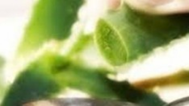 L&rsquo;Aloe vera: la &ldquo;pianta dell&rsquo;immortalit&agrave;