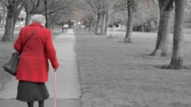 Pensioni 2014: possibili scenari di novembre