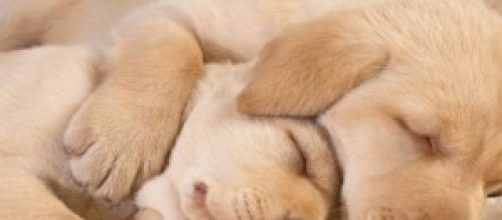 La persona necesita descansar una hora al menos