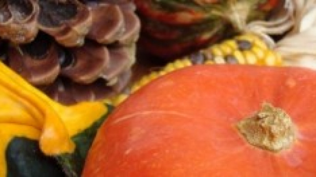 Zucca di Halloween, festa del raccolto