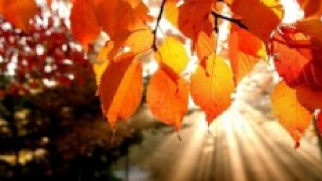 Previsioni meteo autunno inverno 2014/2015