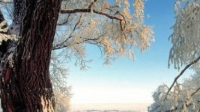 Previsioni meteo inverno-autunno 2014