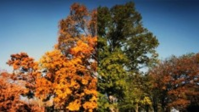 previsioni meteo autunno 2014: torna l'estate?