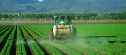 (Fonte: Wikimedia Commons)