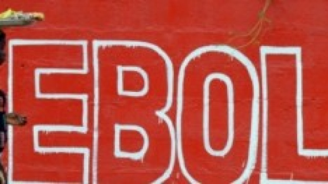 Il virus Ebola, scoperto in Africa nel 1976