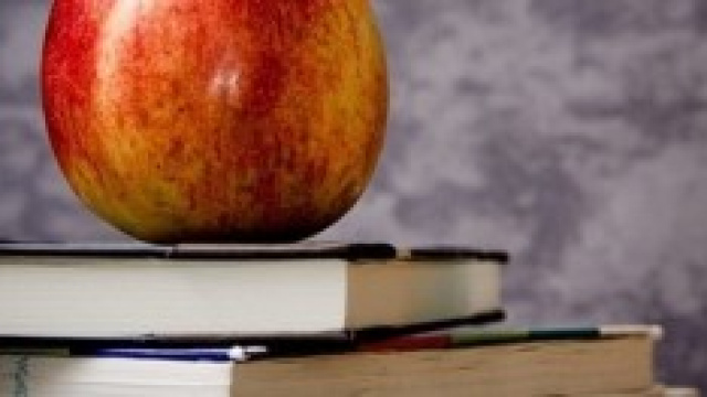 Contributo per prova scritta TFA