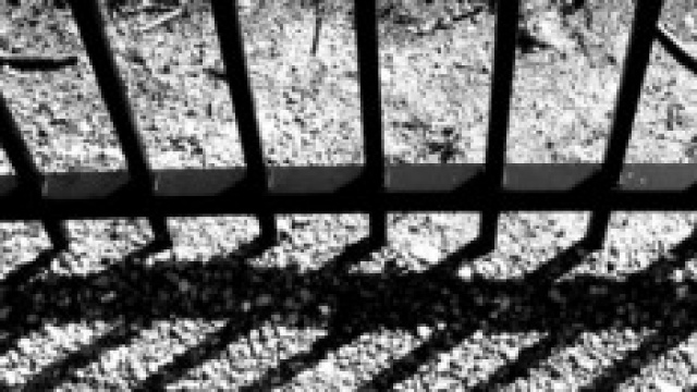 Amnistia e indulto, il punto sul caso Cucchi