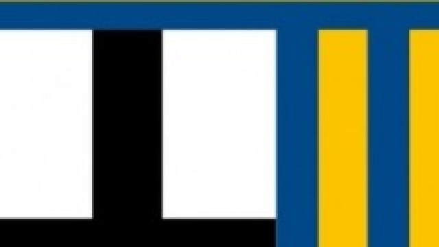 Donadoni esonerato dal Parma?