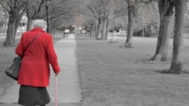Pensioni 2014/2015: ultime news su anticipata