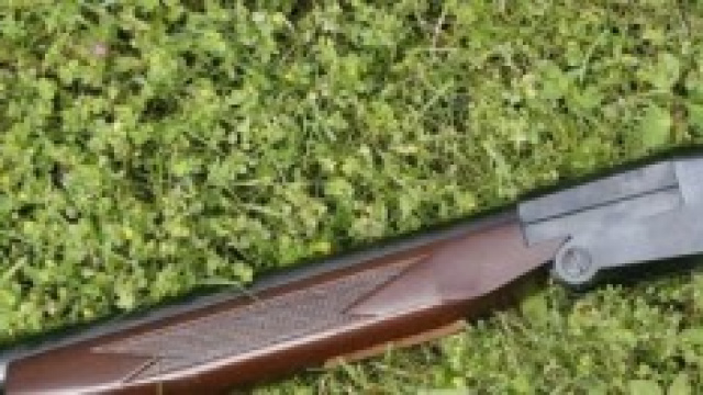 Uccide vicino di casa a colpi di lupara