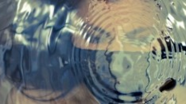 Benedetta, sacrosanta scienza dell'essere umano