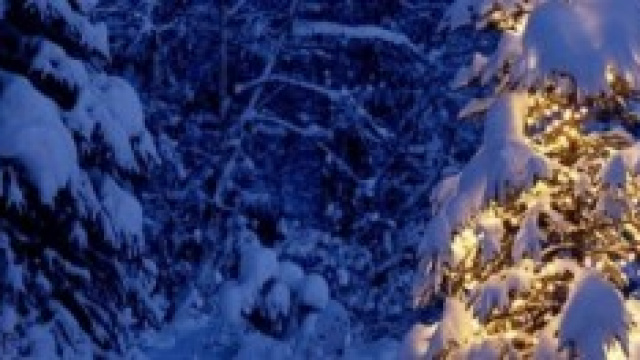 Natale con la neve? Meteo prossimo inverno