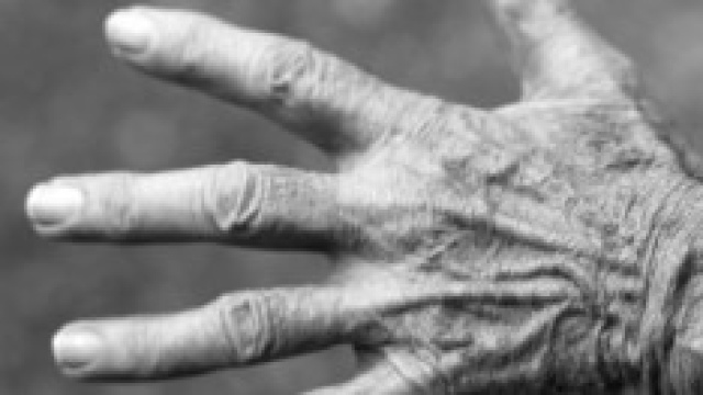 Riforma pensioni 2014: effetto Lega su anticipata?
