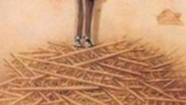 Il virus della stupidit&agrave; si prende dalle alghe.