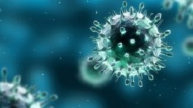 influenza stagionale 2014