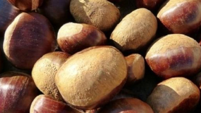 Castagne per la Cheesecake