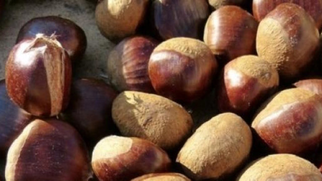 Marron glac&egrave;: la ricetta per prepararli in casa