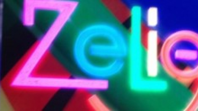 Foto logo programma Zelig