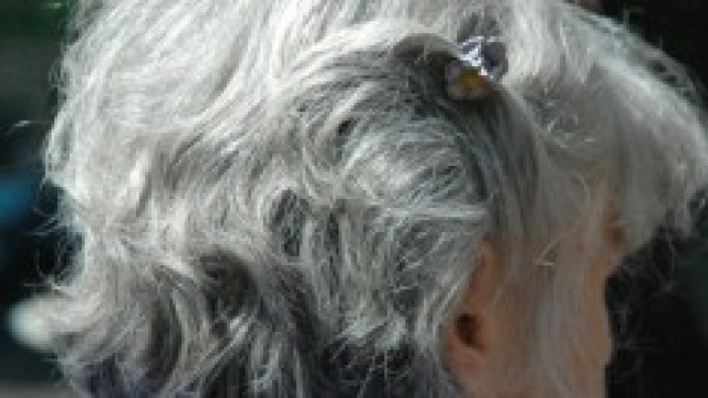 Riforma pensioni e anticipata: ultime news da Treu