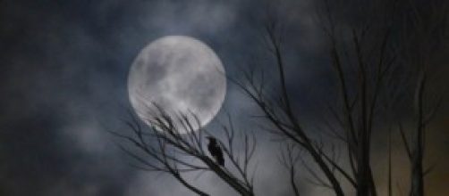 Capaz de reconocer el rostro de la luna