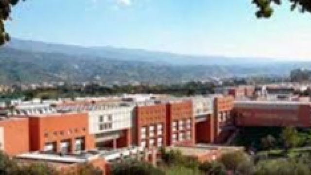 Unical: tentata aggressione all'ateneo.