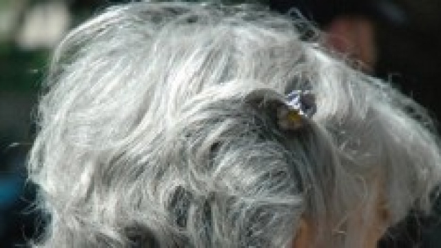 Riforma pensioni, battaglia in Senato?