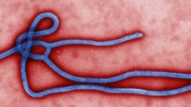 Ebola: il primo contagiato italiano &egrave; un medico.