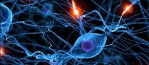 Red neuronal, visto en 3 dimensiones