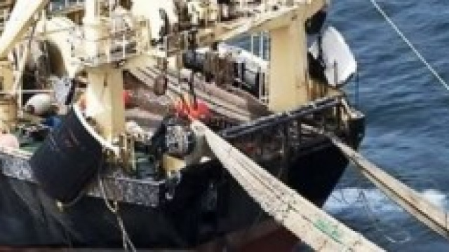 Il problema sono i mega pescherecci