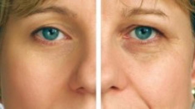 Immagine concessa dall'Ufficio Stampa