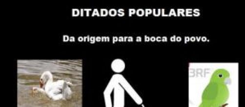 Ditados populares - Da origem a boca do povo.