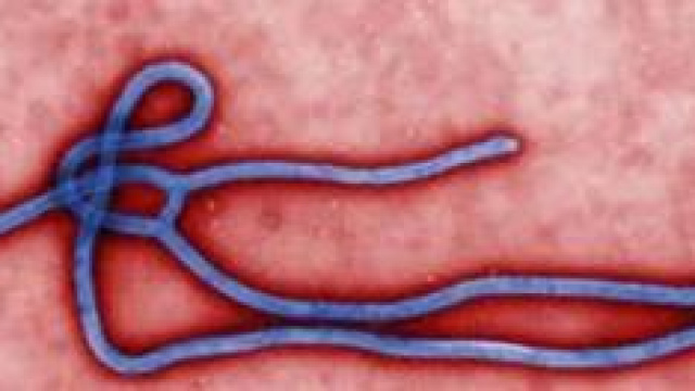 Ebola: &egrave; siciliano il primo paziente italiano.