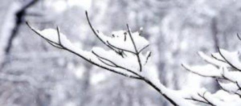 Nature’s cruel gift – A storm on thanksgiving leaving many Americans without electricity