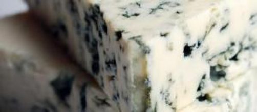 O Gorgonzola requer muito cuidado na fabrica&ccedil;&atilde;o 