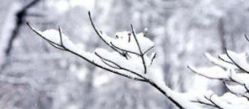 Snowfall disrupts thanksgiving celebrations 