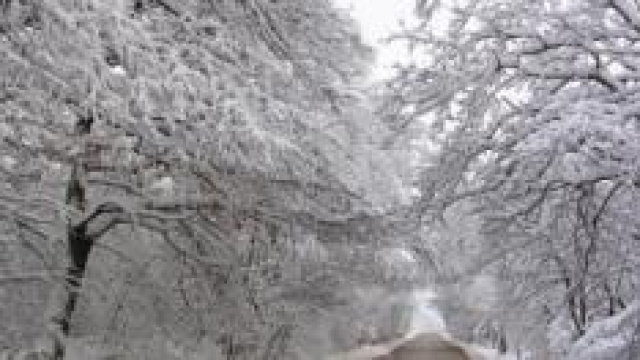 Con l'inverno 2015 arriva il gelo?