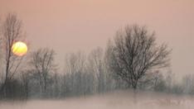 Previsioni Meteo dicembre 2014: nebbie persistenti