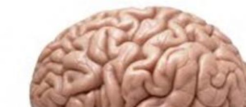 Las zonas cerebrales implicadas son las mismas.