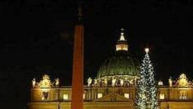 Calabrese l'abete bianco per piazza San Pietro. 