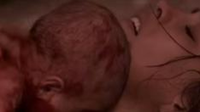 Ecco la nascita di Bosco.