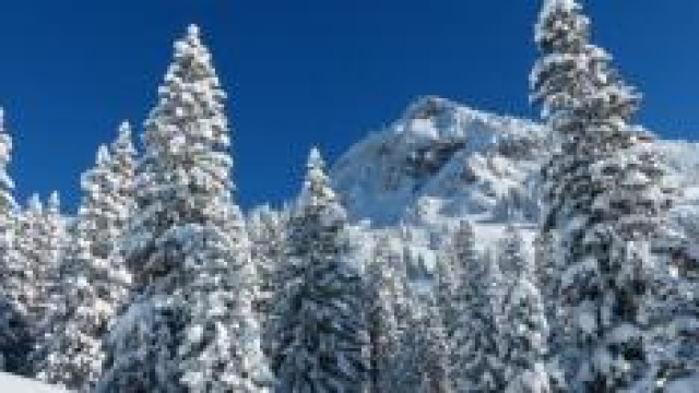 Previsioni meteo per dicembre e per l'inverno.