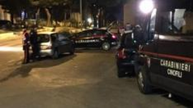 I carabinieri cinofili in azione