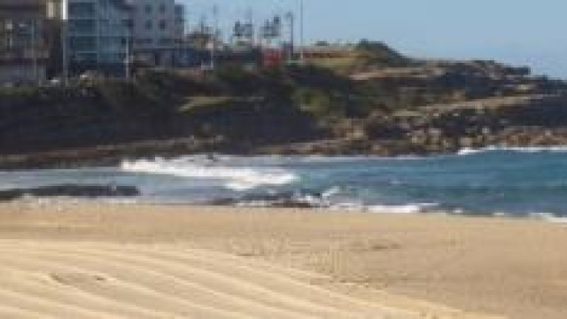 Australia, trovato corpo di un bimbo in spiaggia 