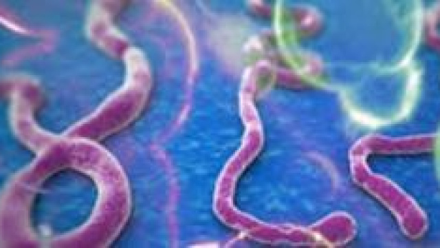 Ebola: migliorano condizioni medico siciliano.
