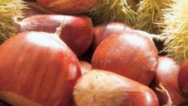 Castagne, frutti autunnali