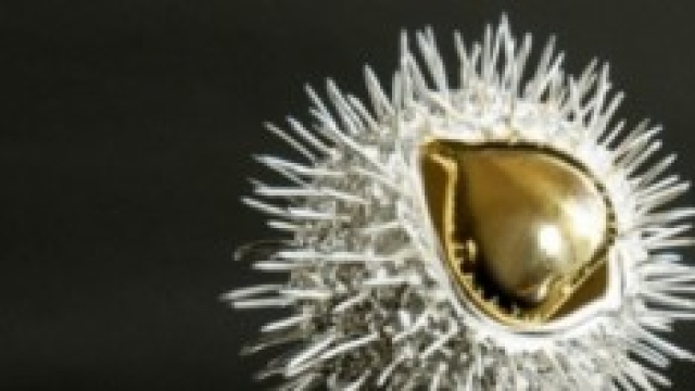 Il premio dello Juventus Club Mottarone a Pogba 