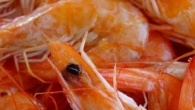 Gamberetti e gamberoni a Natale: come cucinarli?  